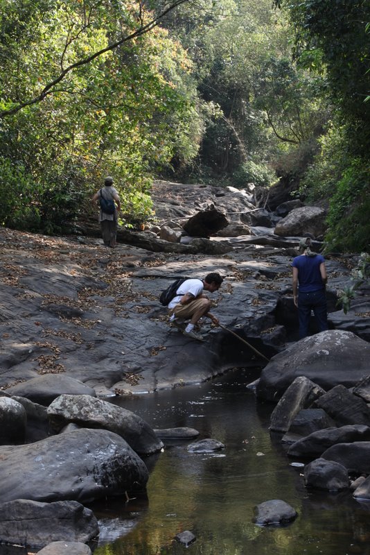 India 2010 - Coorg - Honey Valley - Trek to the Swimming Hole